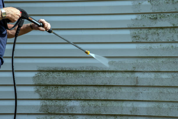 Best Exterior Home Cleaning  in Toluca, IL